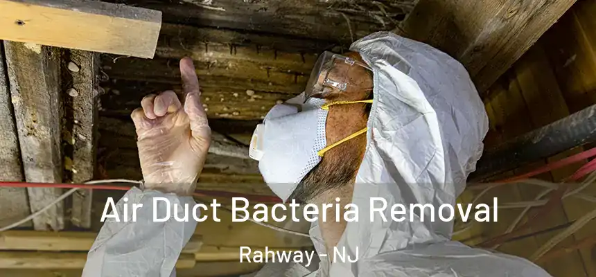  Air Duct Bacteria Removal Rahway - NJ