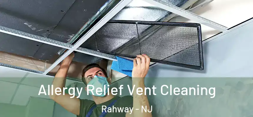  Allergy Relief Vent Cleaning Rahway - NJ