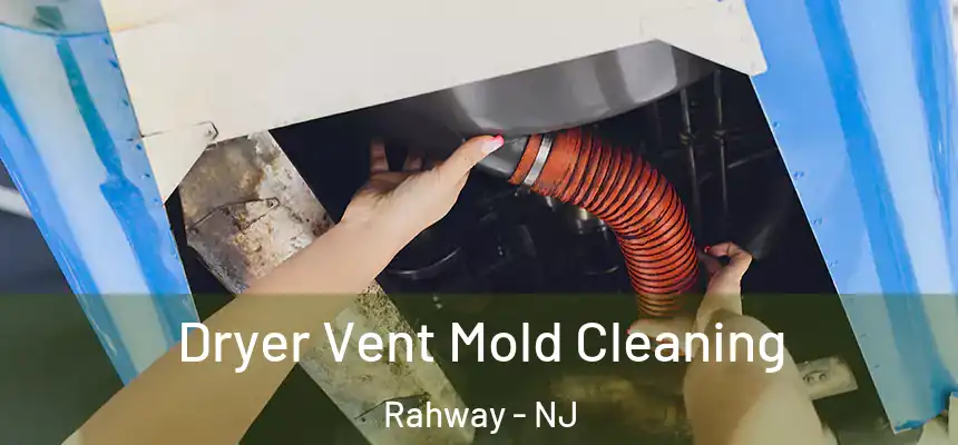  Dryer Vent Mold Cleaning Rahway - NJ
