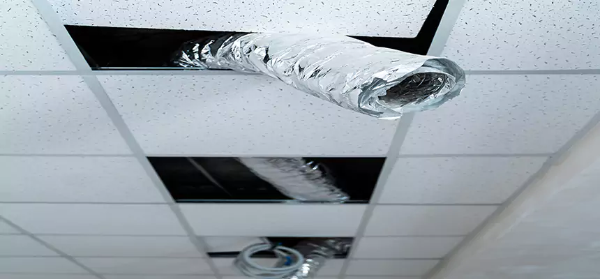 Affordable HVAC Sanitizing After Pest Removal in Rahway