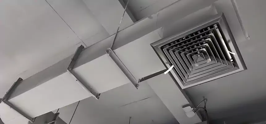 Our Pest Removal From Ducts Services in Rahway, NJ