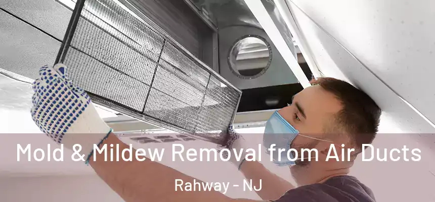  Mold & Mildew Removal from Air Ducts Rahway - NJ