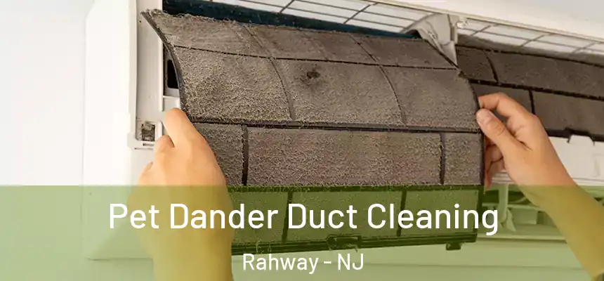 Pet Dander Duct Cleaning Rahway - NJ