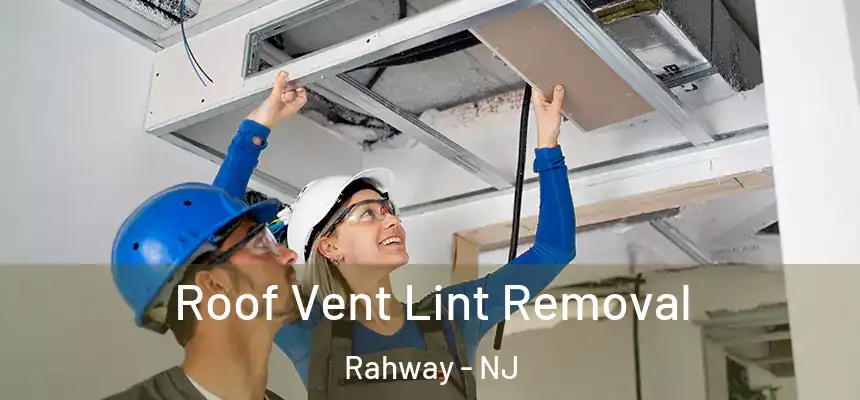  Roof Vent Lint Removal Rahway - NJ