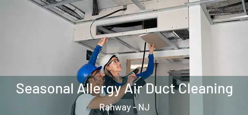  Seasonal Allergy Air Duct Cleaning Rahway - NJ
