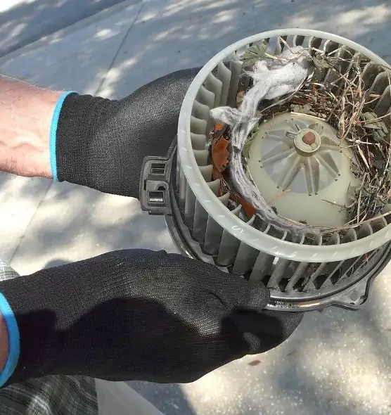 About Air Duct Mice Removal in Rahway, NJ