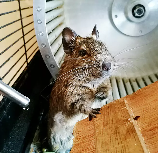 Why Homeowners & Businesses Trust Us Rahway, NJ